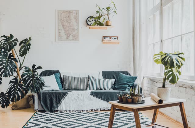 Vardagsrum med soffa, monstera och vitmålad tegelvägg